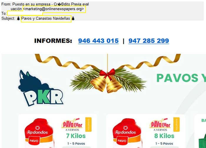 puesto-en-empresa-pavos-canastas-navidenas-onlinenewspapers.org-spam-francia-11122023